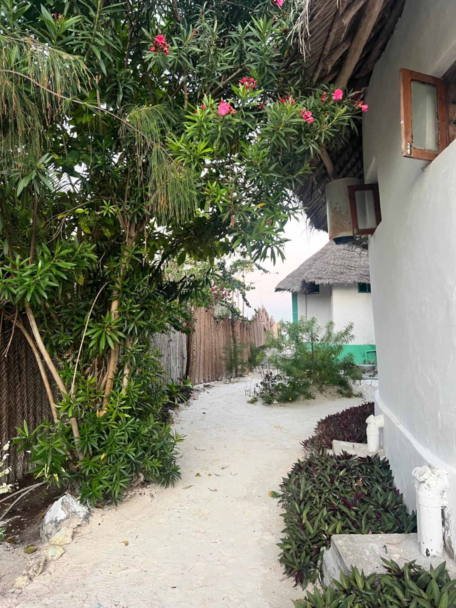 Duara Beach House Hotel Paje Bagian luar foto